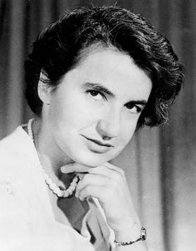 Rosalind Franklin's Scientific Journey A Tale of Perseverance and Discoveries